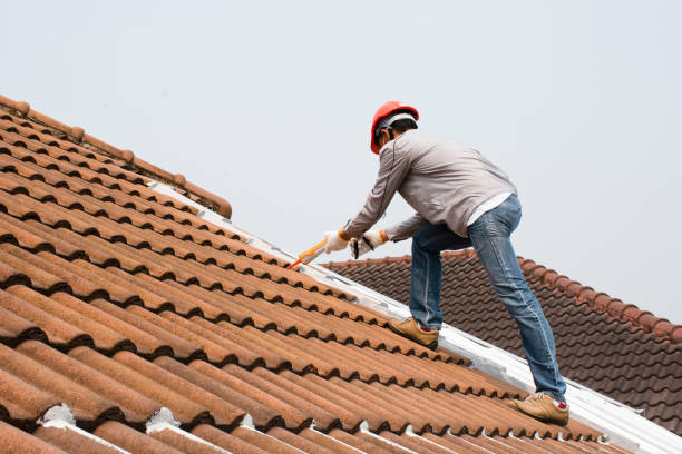 Sheet Metal Roofing in Avon Park, FL